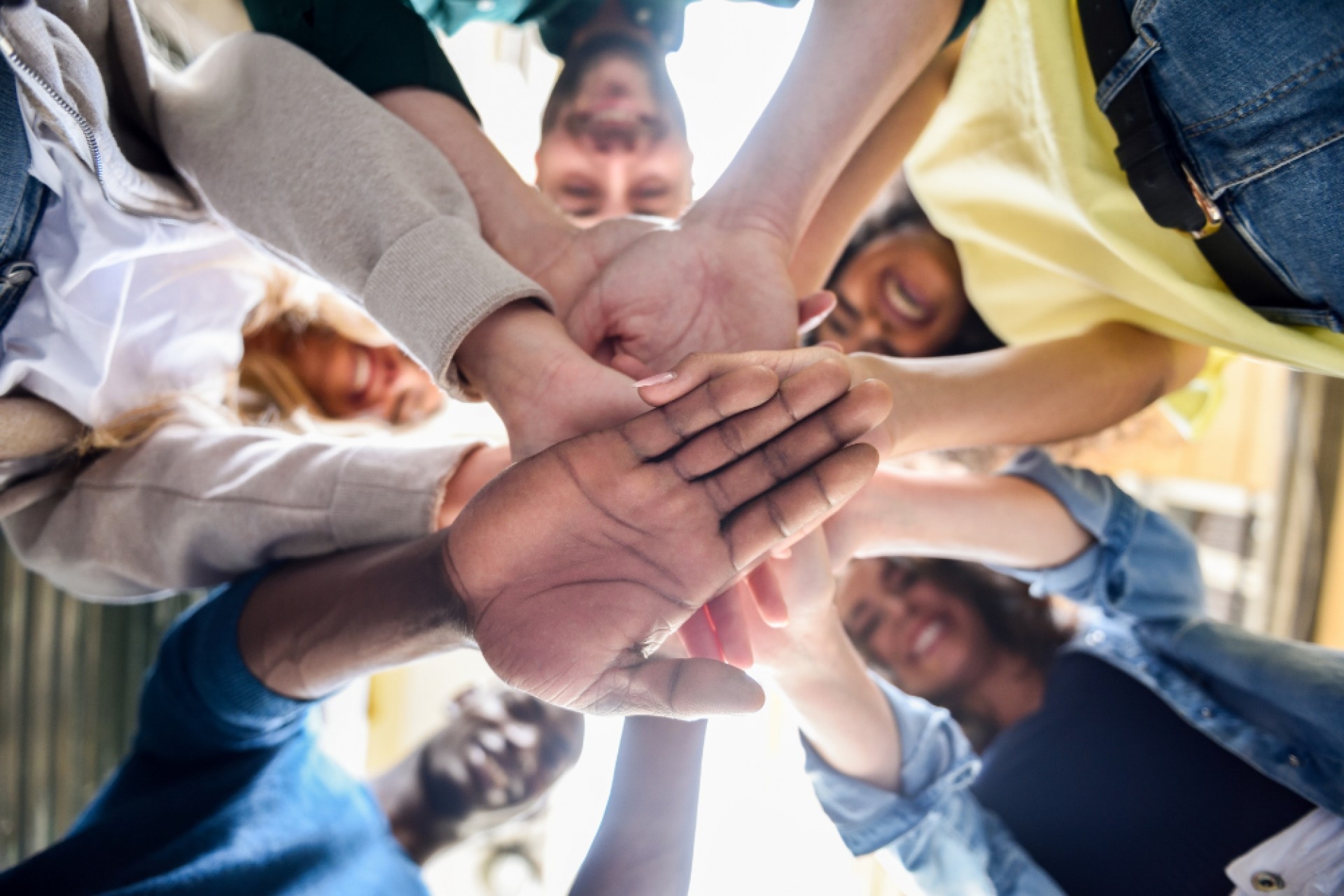 Career Skills Project Questionnaire