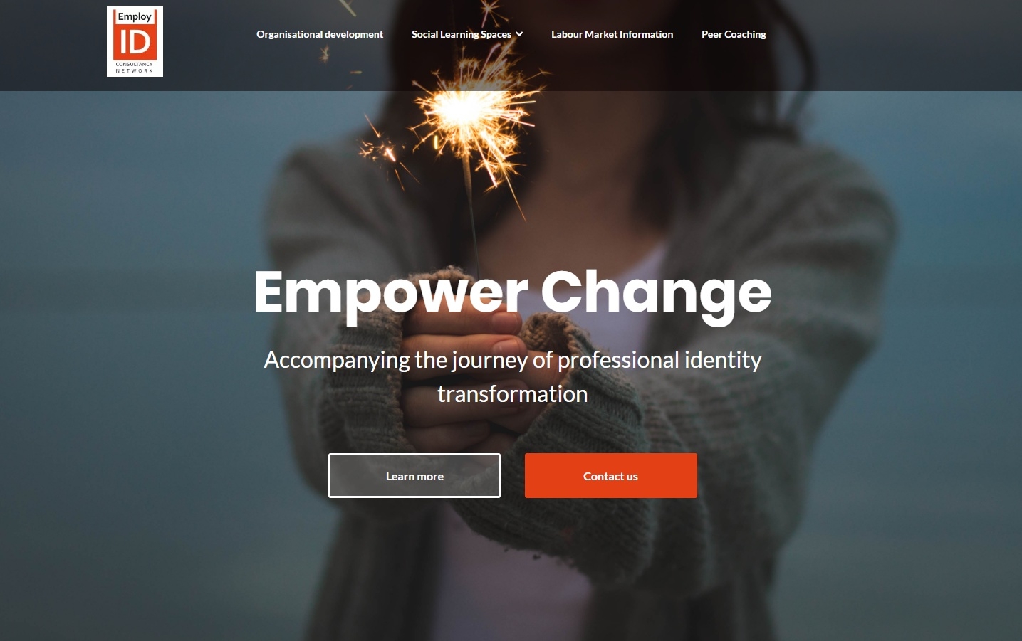 EmployID - Social learning approaches in public employment services