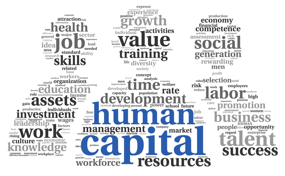 Human capital theory - The value and importance of people to organisational success