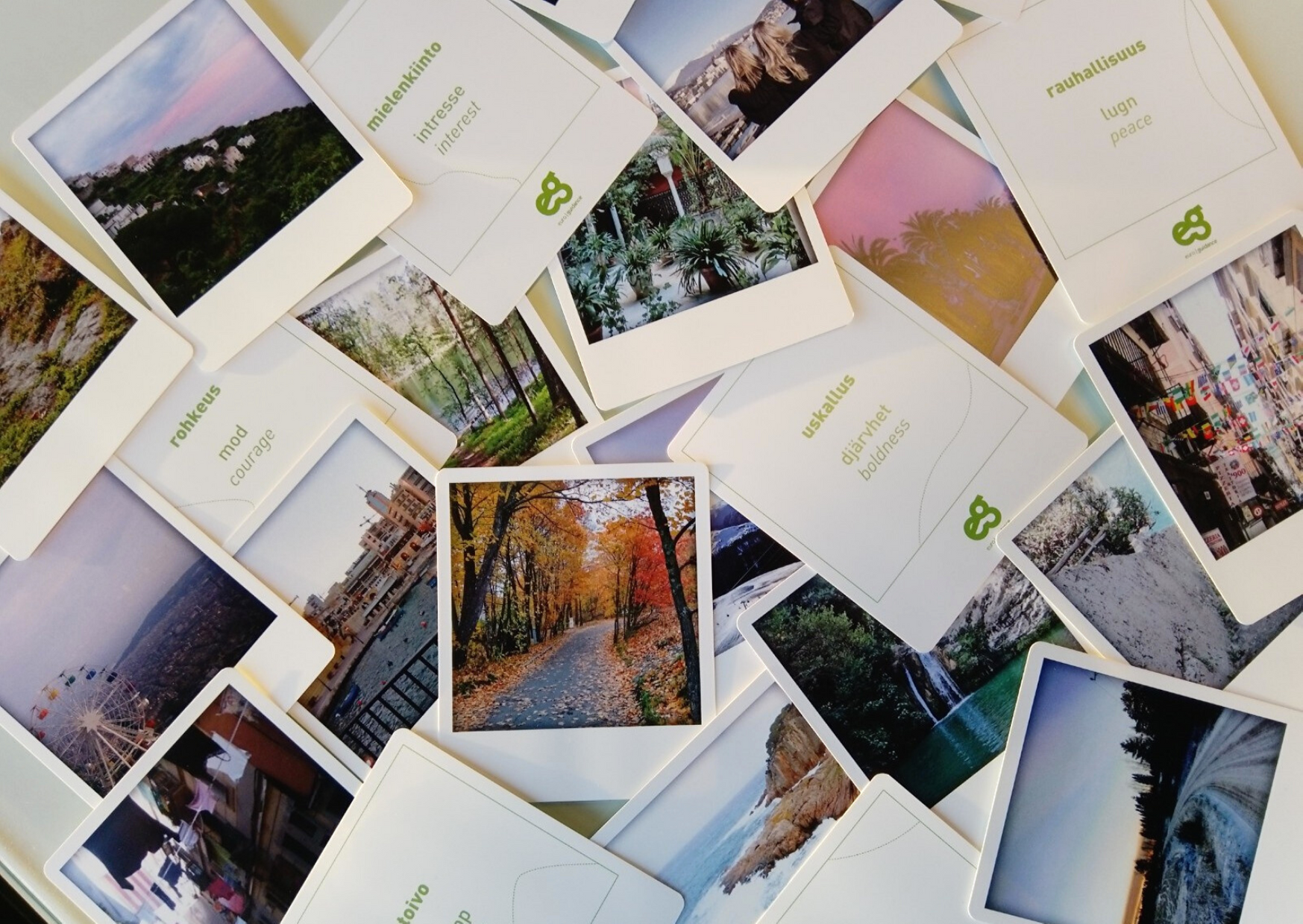 Path to the World guidance cards