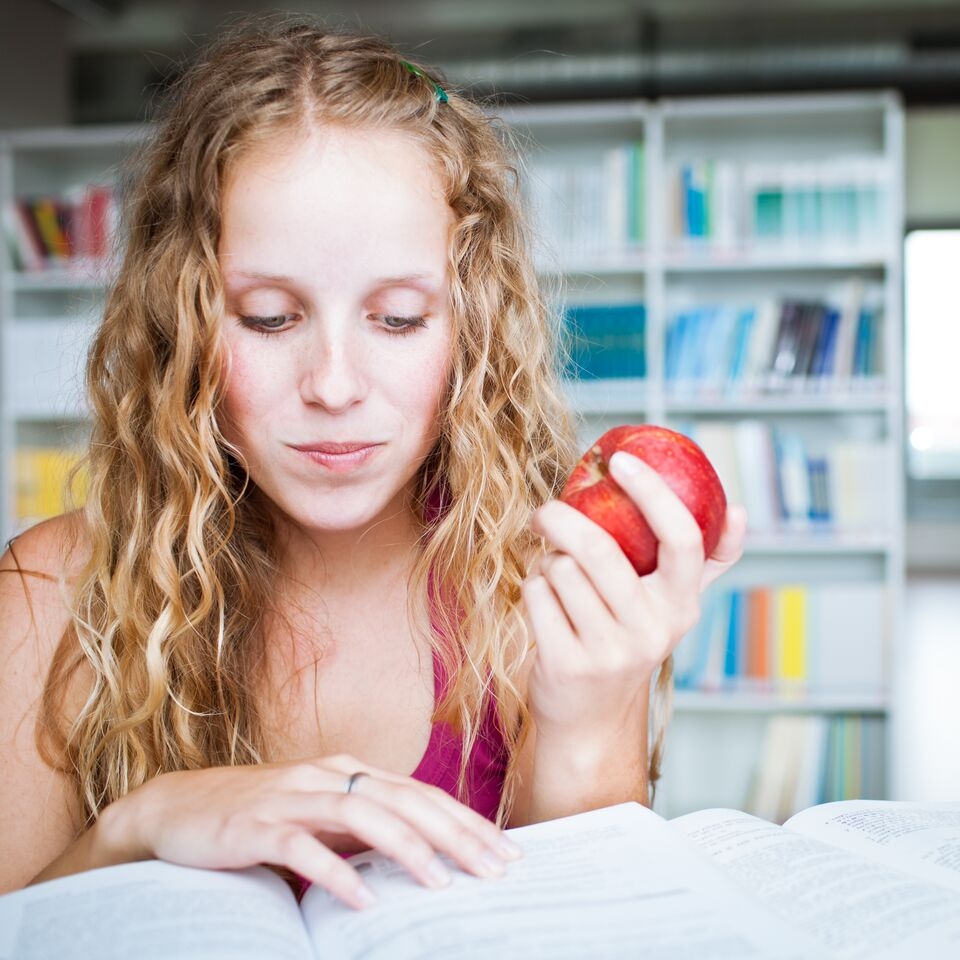 Recommendations on Learning Mobility: Insights from the Digital Dashboard