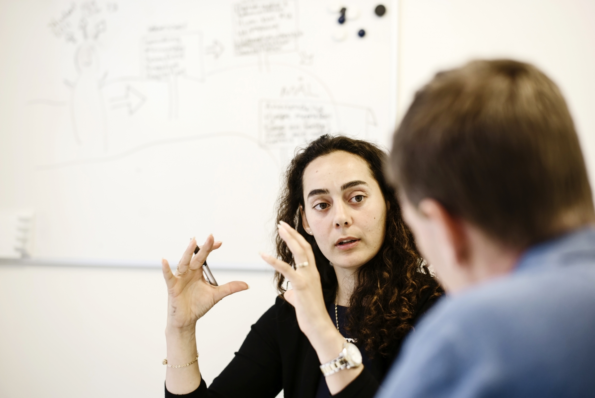 Significantly more people in Denmark were given study guidance this summer