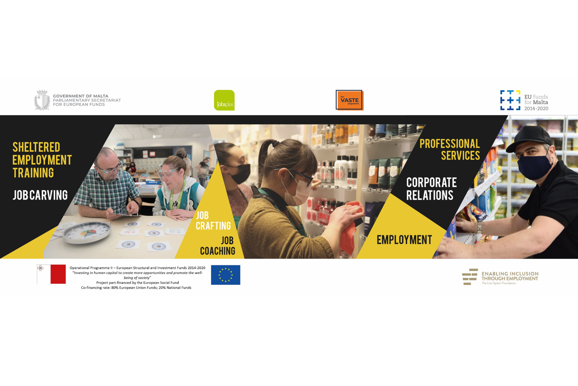 The VASTE Programme